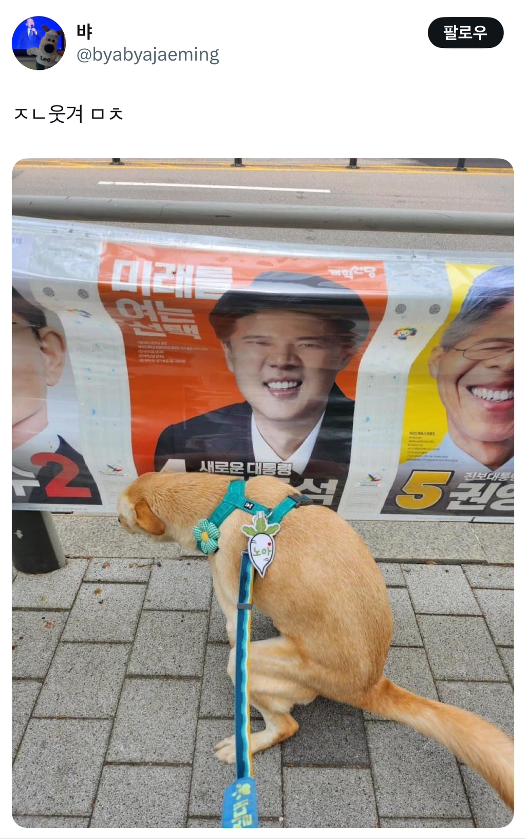 이준석 앞에서 당당하게 💩..twt | 인스티즈