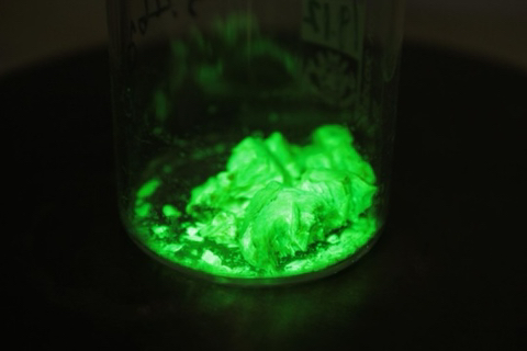 중국이 진시황릉을 발굴하고 있지 않은 이유 | 인스티즈