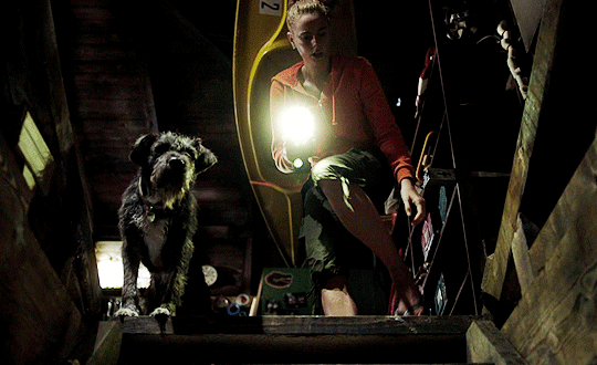 연락이 안되는 아빠가 걱정되서 집에 가봤더니 강아지가 지하실을 계속 응시하길래...gif | 인스티즈