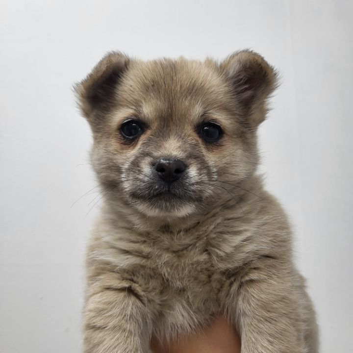 (공지라니... ++추가)새로생긴 회사 복지.. 미쳐서 도저히 일을 못하겠네.. (추가....)++추가 | 인스티즈