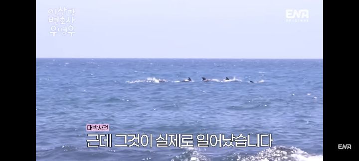 [우영우] 돌고래 목격담 자랑하러 온 박은빈 강태오 | 인스티즈
