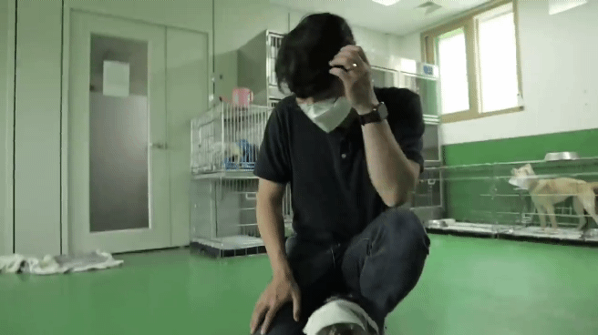 교통사고난 유기견 입양한 설채현 수의사 그리고 윙크 근황😉 | 인스티즈