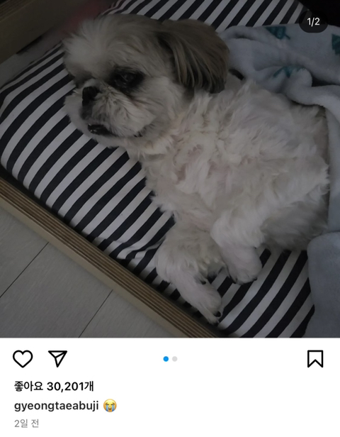 경태희 생사가 궁금한 달글 | 인스티즈