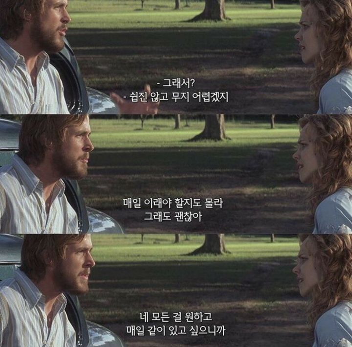 사랑이라고 생각하는 짤 올려보는 달글 | 인스티즈