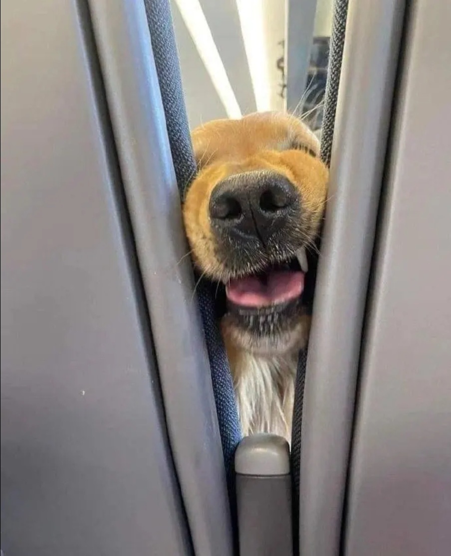 앞자리에 앉은 진상 손님 | 인스티즈