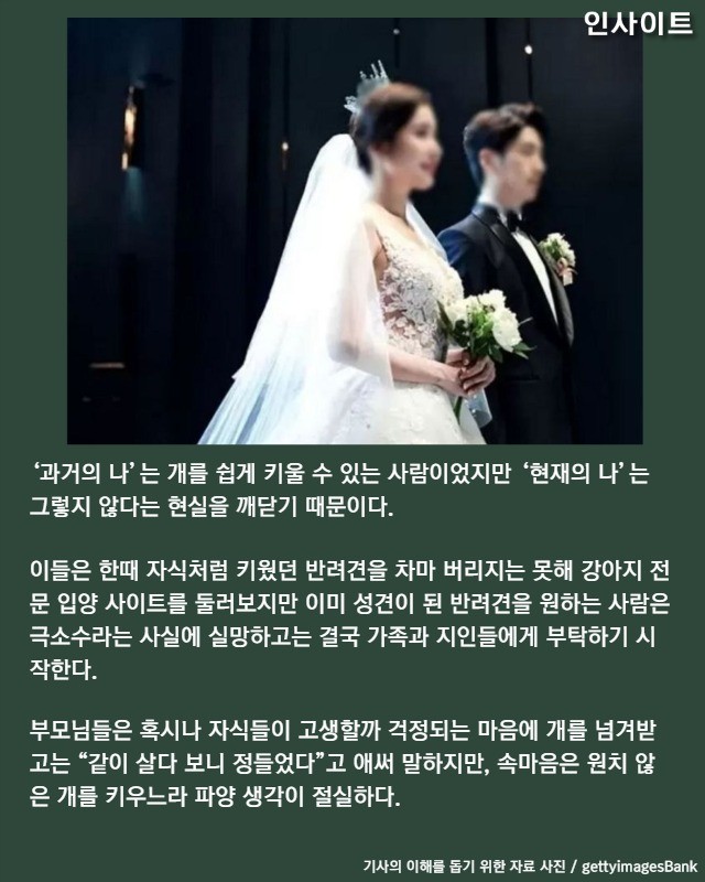 요즘 반려견 파양하는 청년들이 '죄책감' 안느끼려고 쓰는 방법 | 인스티즈