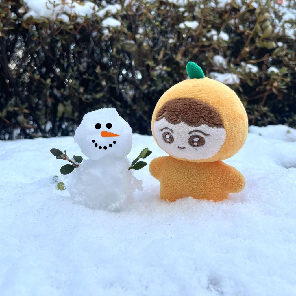 인형 불량이 났는데 오히려 본체랑 똑닮았음.jpg | 인스티즈