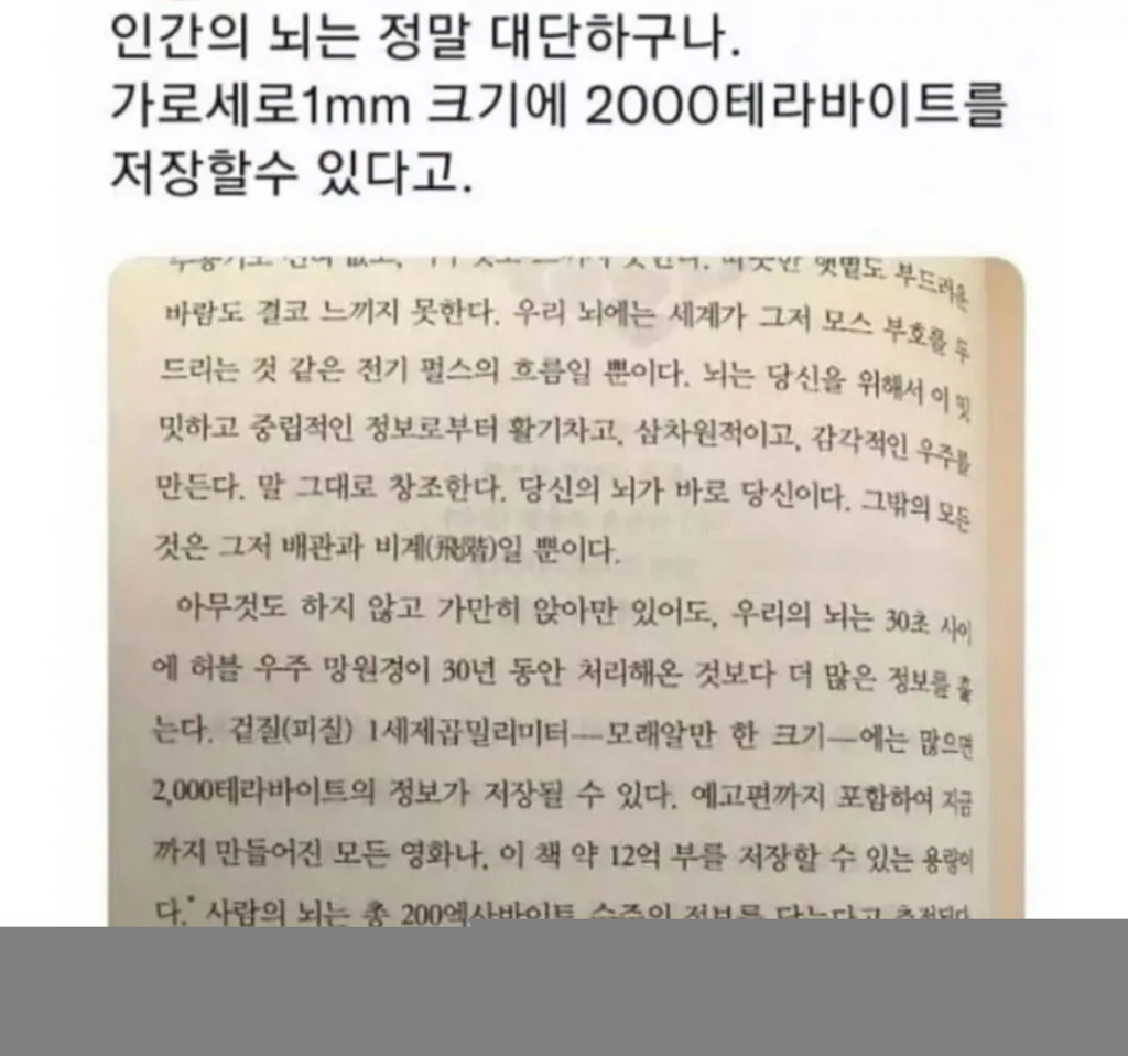 인간 뇌가 1mm당 저장할수 있는 용량 | 인스티즈
