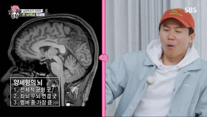 [집사부일체] 최고의 뇌과학자가 분석한 양세형, 리정, 이승기, 유수빈, 김동현 뇌 MRI 결과 | 인스티즈