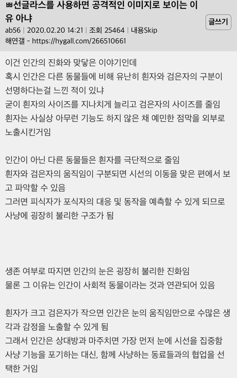 선글라스 끼면 공격적/쎄보이는 이유 | 인스티즈