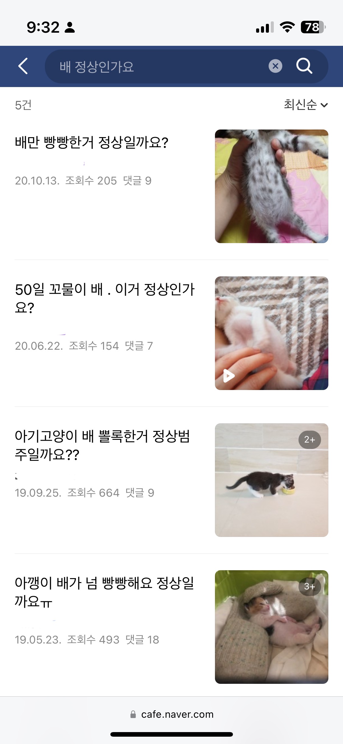 아기고양이 뽀뽀 | 인스티즈