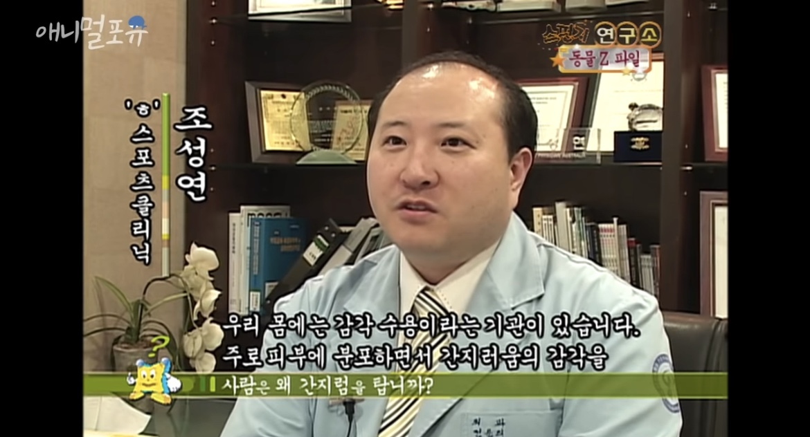 오랑우탄도 간지럼을 탈까? | 인스티즈