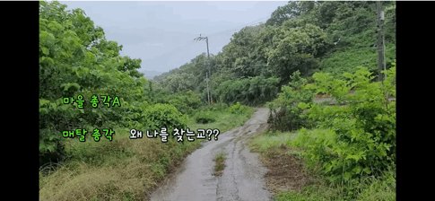 금은보화가 들어있는 박씨를 얼마나 받을지 궁금한 매탈남 | 인스티즈