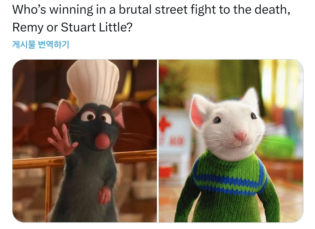 이** 이미지
