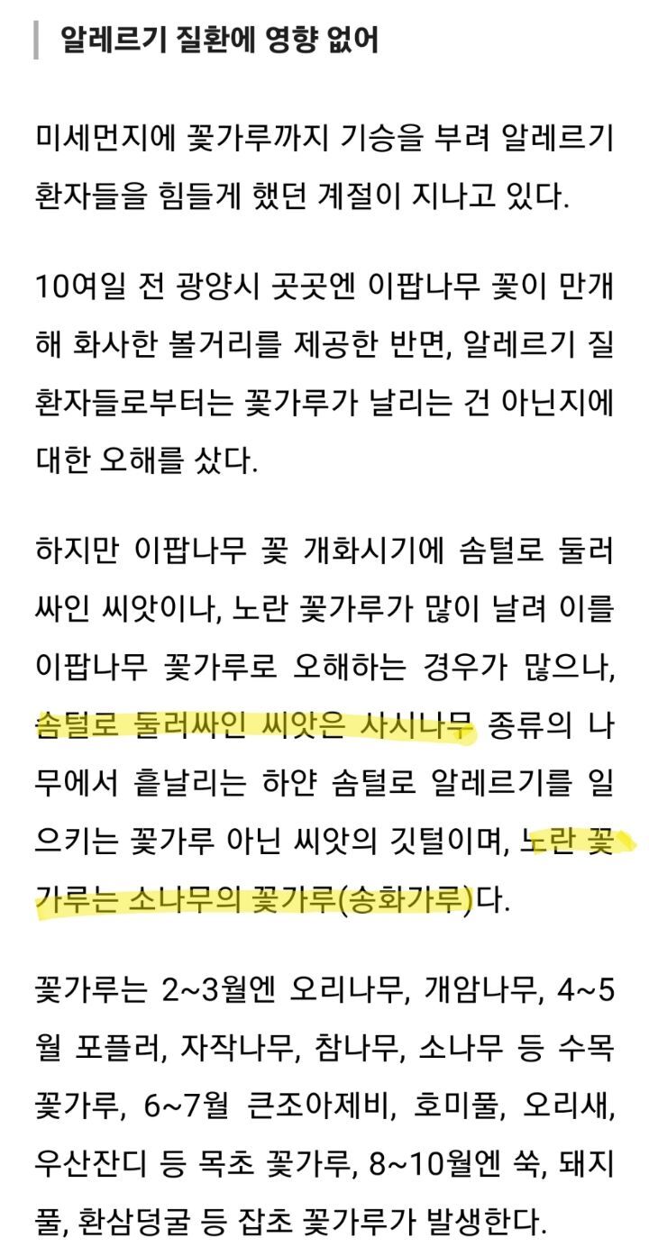 "이팝나무는 꽃가루가 날리지 않아요” | 인스티즈