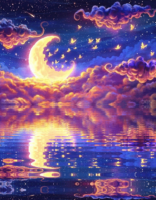 INFP만 사는 나라 이야기 | 인스티즈