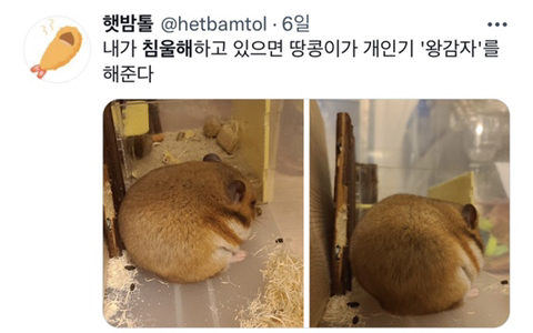 내가 침울해 하고 있으면 -가 -해준다 .twt | 인스티즈