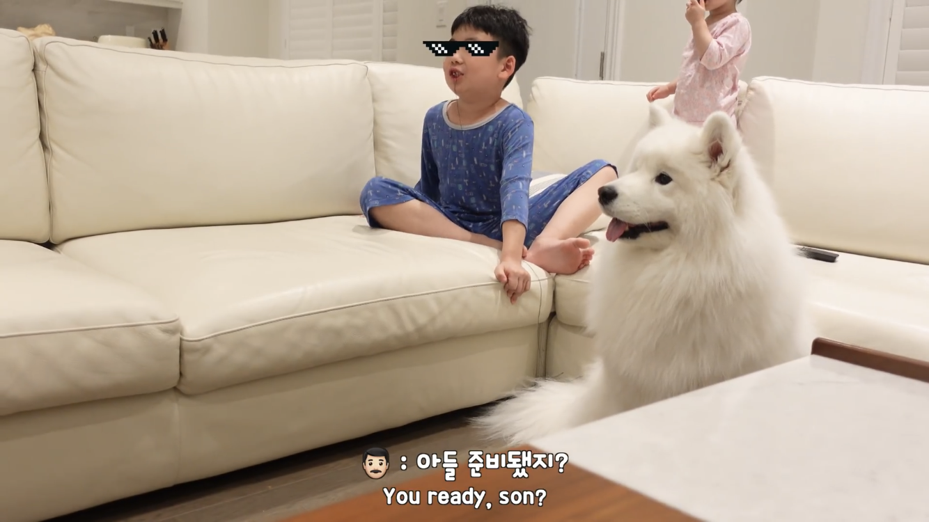 사모예드와 흔들리는 이 뽑는 법 | 인스티즈