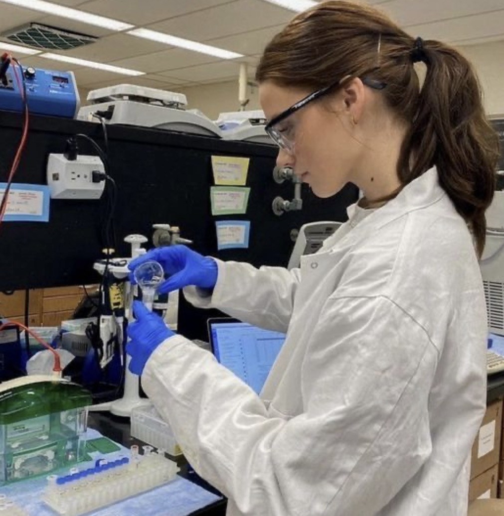 길티라고 생각하지 말고 적당히 자기 PR할줄 알아야한다고 생각하는 달글 | 인스티즈