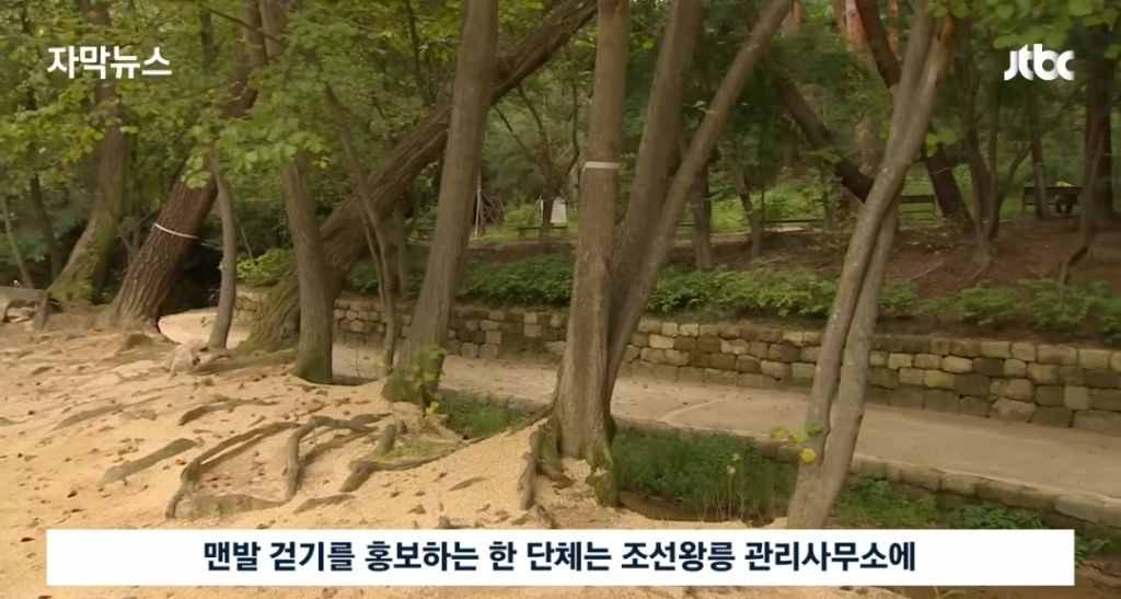 경고문도 무시하고 맨발걷기 하는 사람들 | 인스티즈