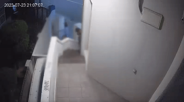 몰래 오렌지 훔치는 커플 CCTV | 인스티즈