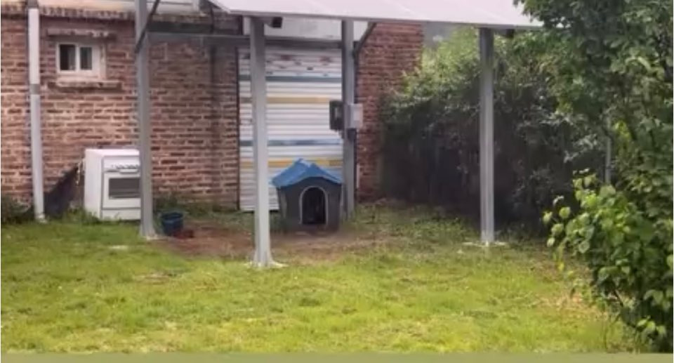 쩌리에서 논란이였던 계곡 방치견에 대한 캠핑장 피드백 | 인스티즈