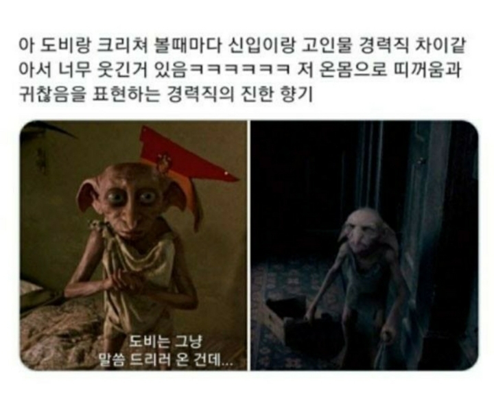 이 중에 하나는 여시들 배꼽이 빠지게 웃겨주겠지? 하나만 걸려라 1탄 | 인스티즈