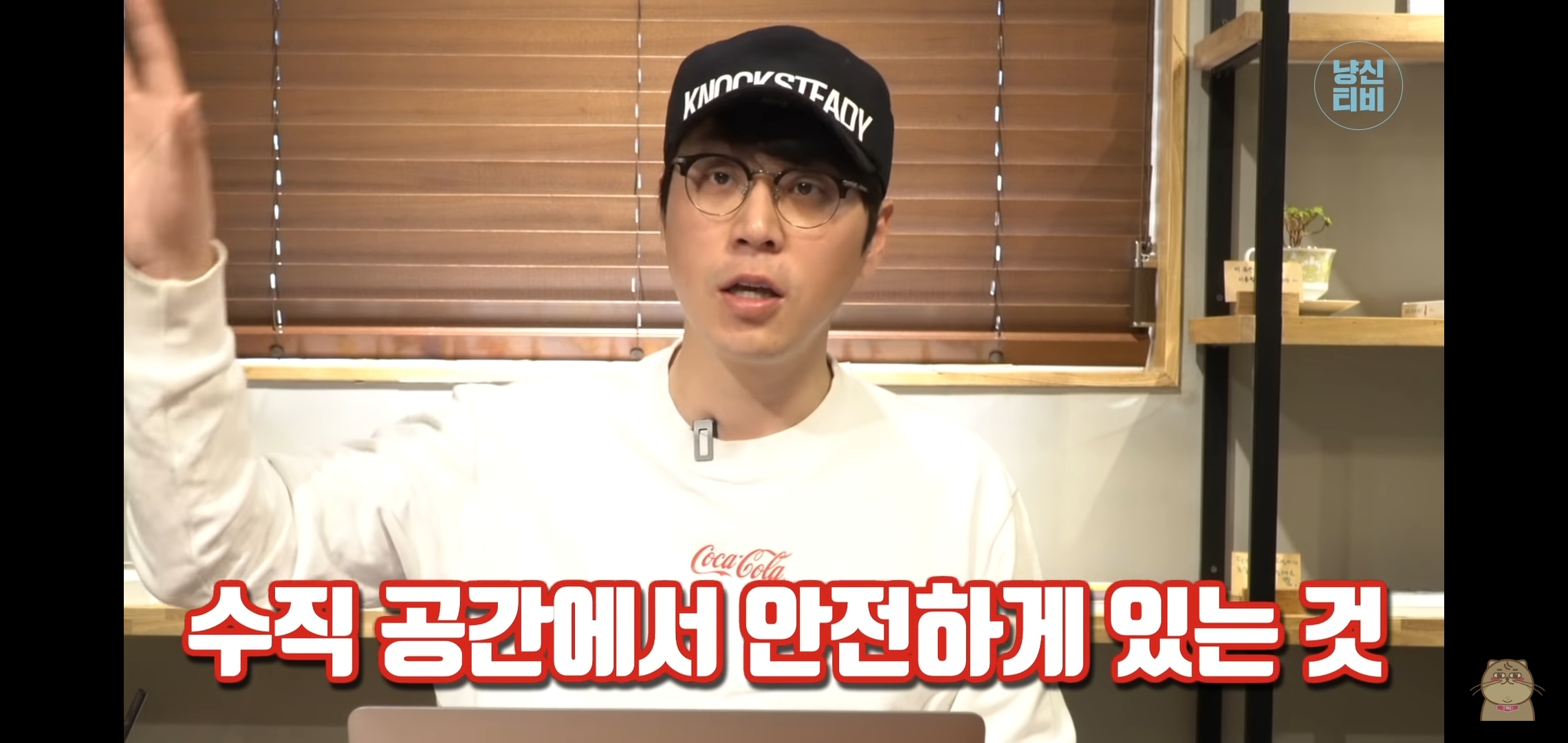 고양이 산책? 하지마!!!!! | 인스티즈