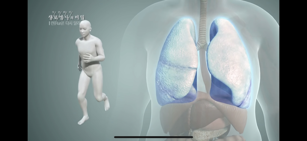 309d9ab56d3148c5f65c8a8dfdf582654cc377a4