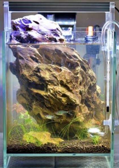 한국수경예술학회 이미지