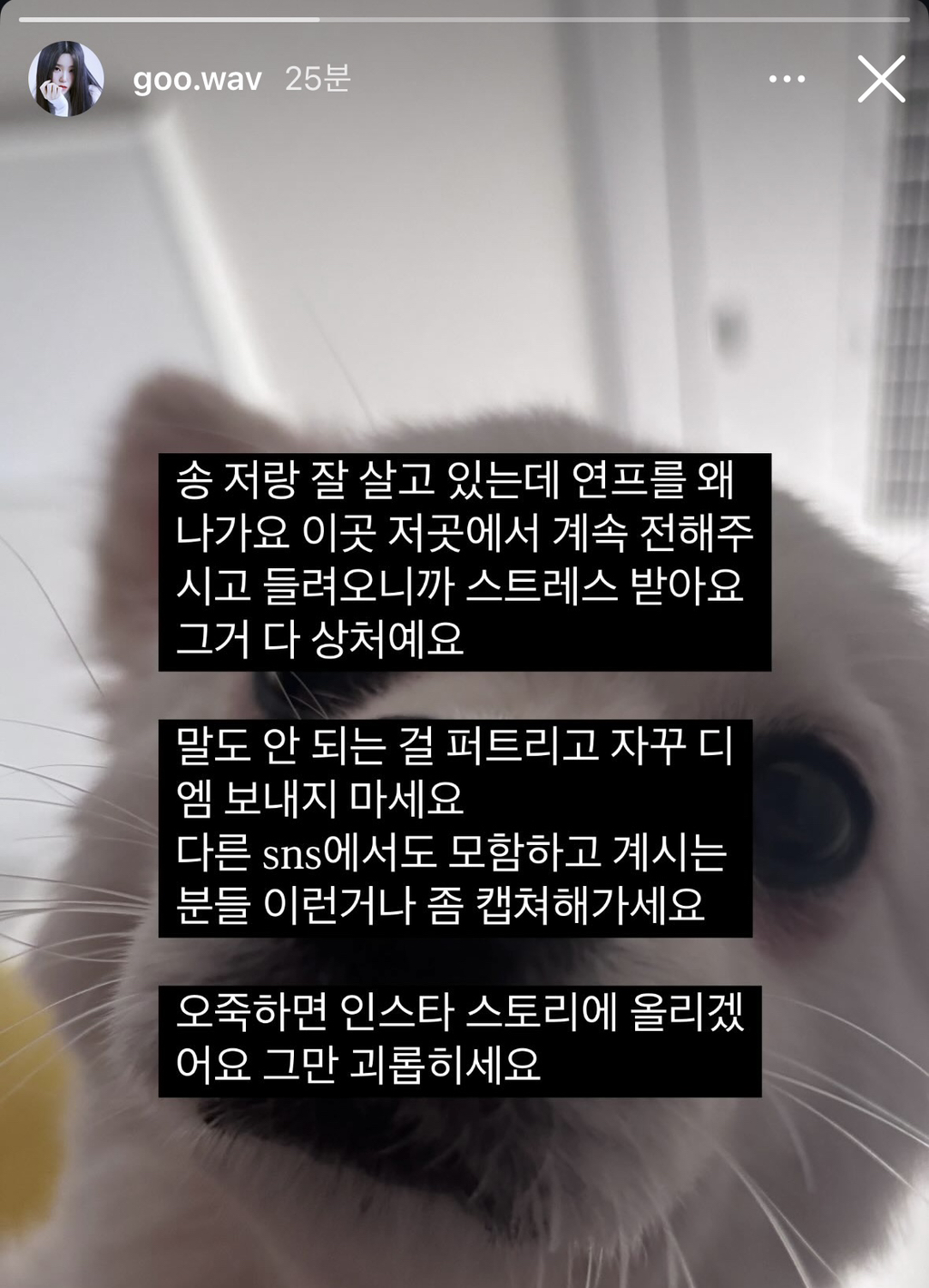 레즈 연프 출연궁예로 고통받고 있는 유튜버 조송 인스타 스토리 | 인스티즈