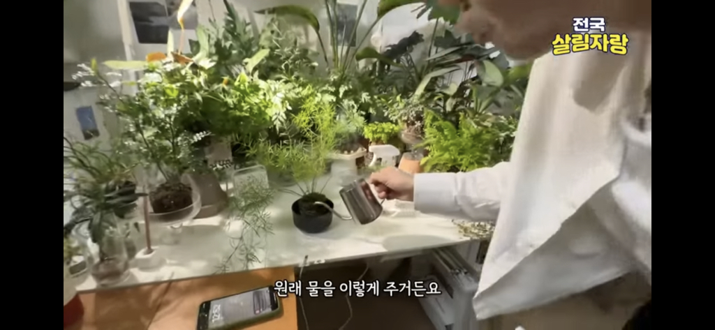 저비용 고효율로 행복해질 수 있는 집꾸미기 팁 | 인스티즈