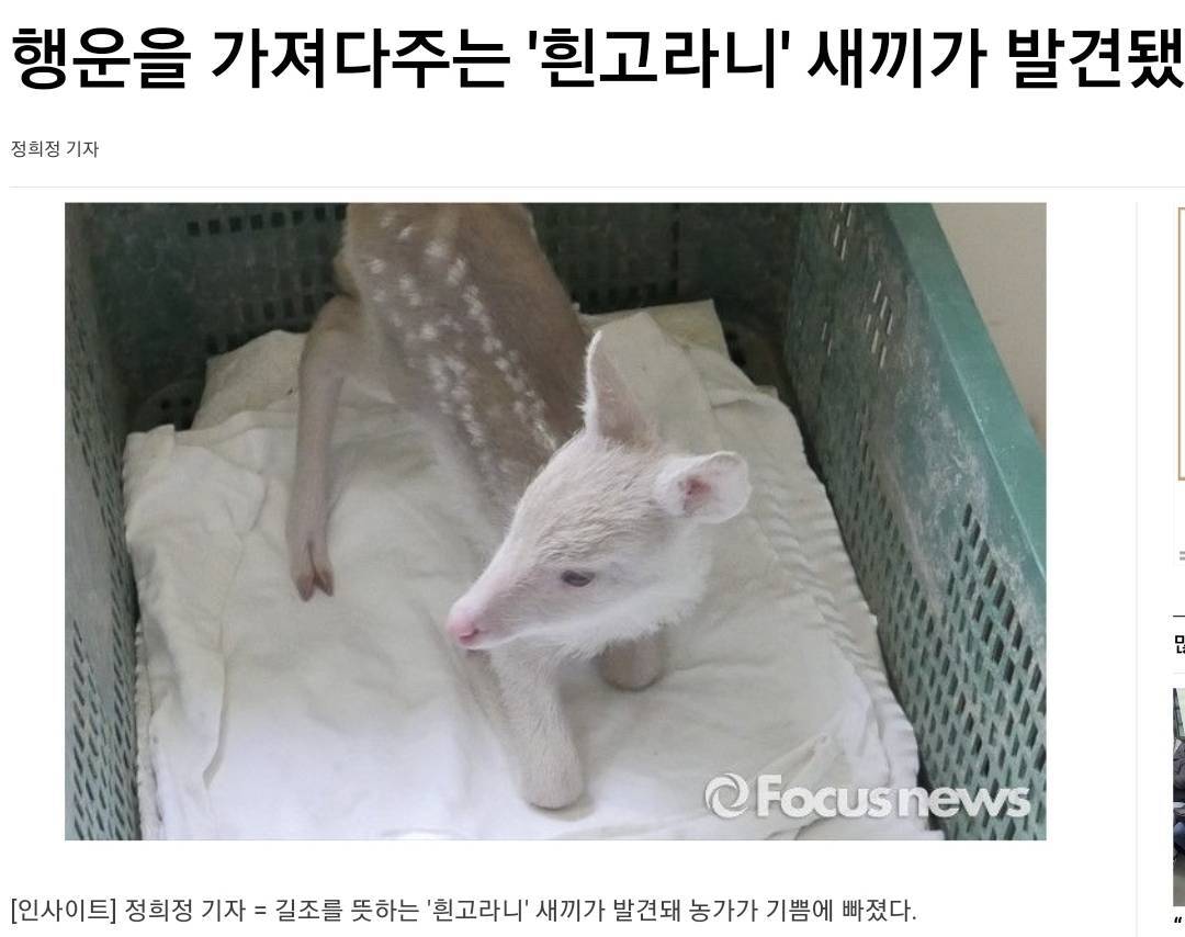 3111f774e37ee5c30ebcfb2db456fda44771ed89