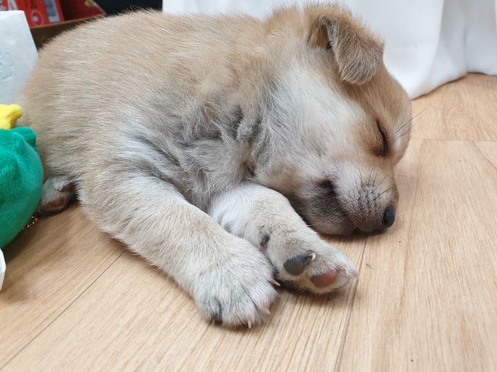 (공지라니... ++추가)새로생긴 회사 복지.. 미쳐서 도저히 일을 못하겠네.. (추가....)++추가 | 인스티즈