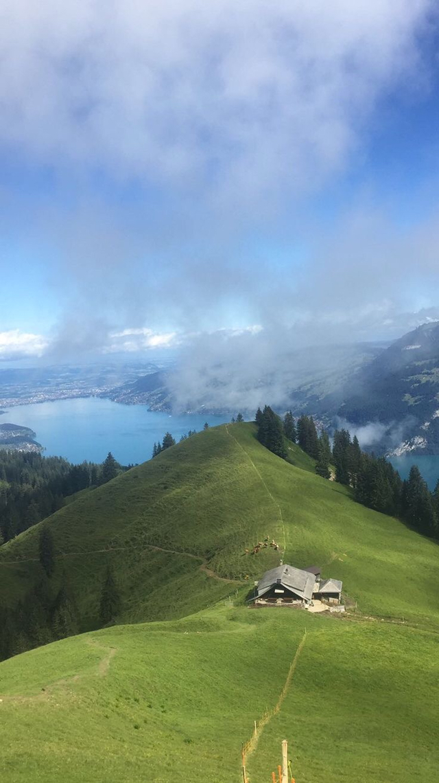 요정 : 여기서 혼자 한달간 숙박하면 5억 지급 | 인스티즈