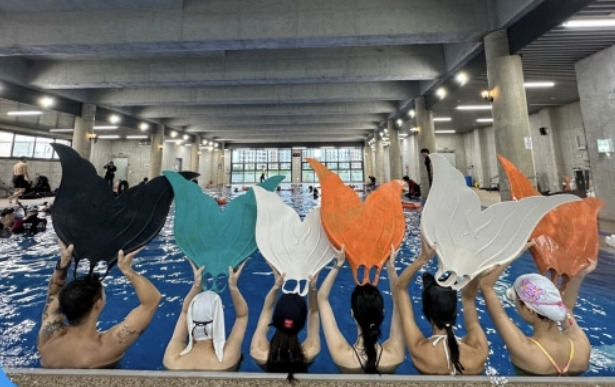 프리다이빙 배우고 넘어간다는 취미 머메이드 다이빙 | 인스티즈