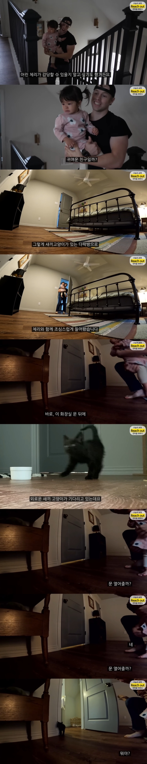 체리한테 동물은 어떻게 대해야 하는지 잘 알려준 것 같은 유투버 올리버쌤 | 인스티즈