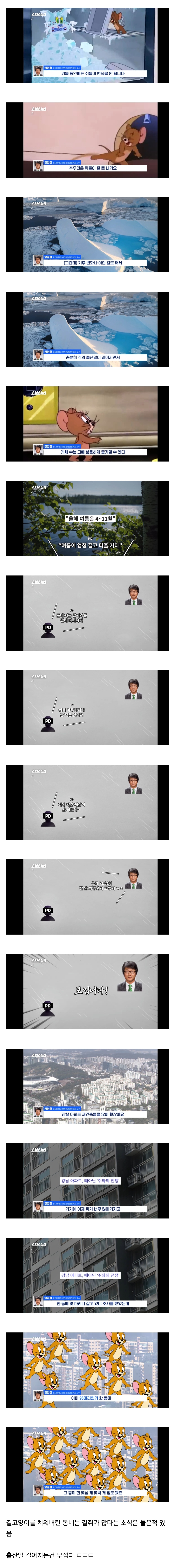 기후변화로 길 쥐가 전세계적으로 최대 390%늘었고 한국에서도 많이 늘어날거라고 함 | 인스티즈