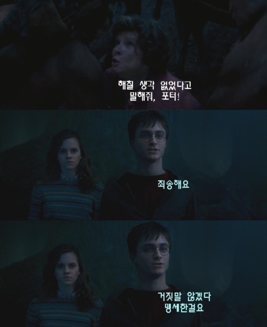 [해리포터] 영화 캡쳐본으로 보는 해리포터성격 | 인스티즈