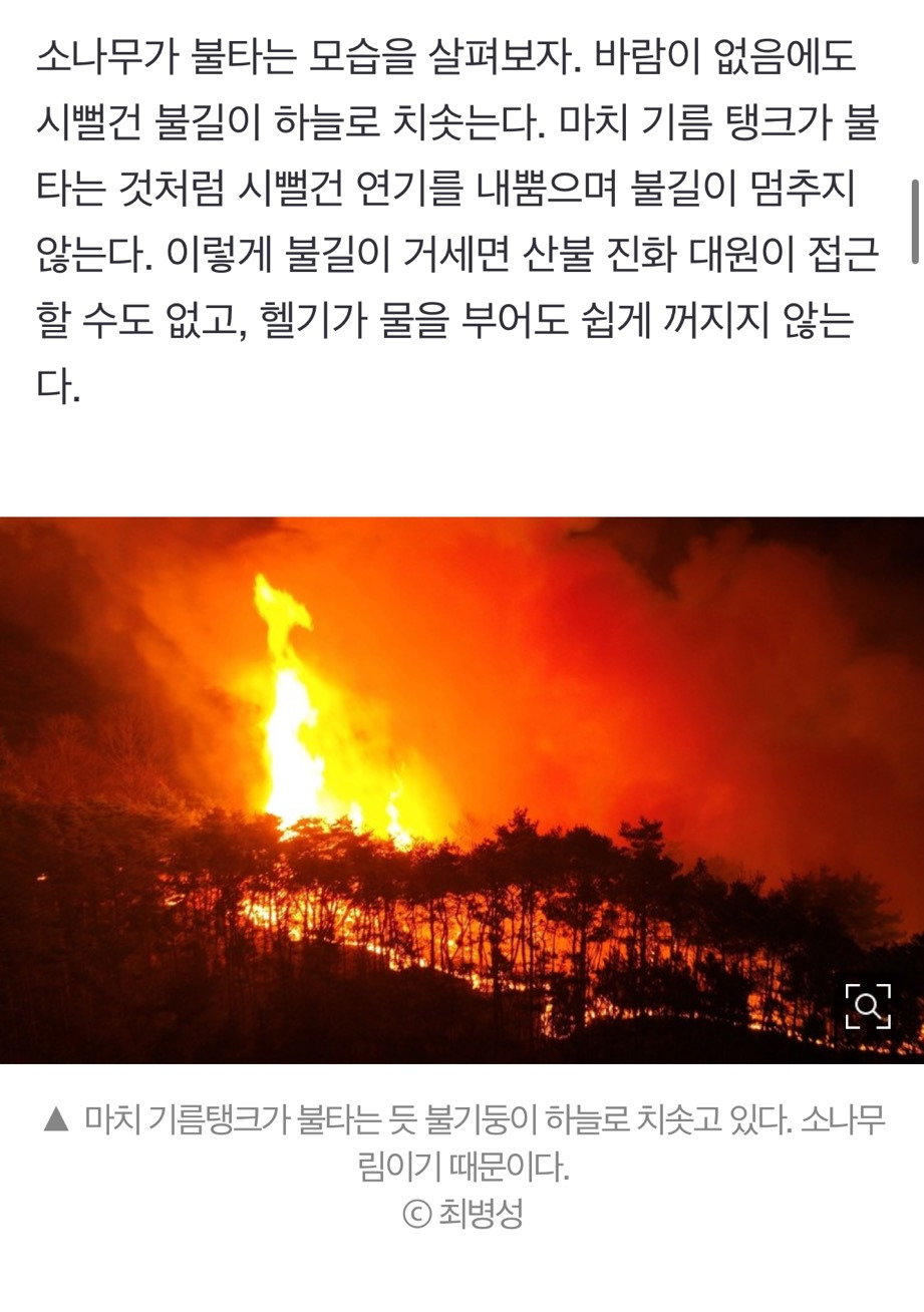 산불 발화지점 가보고 깜짝 놀랐다, 대형산불의 진짜 원인 [최병성 리포트] | 인스티즈