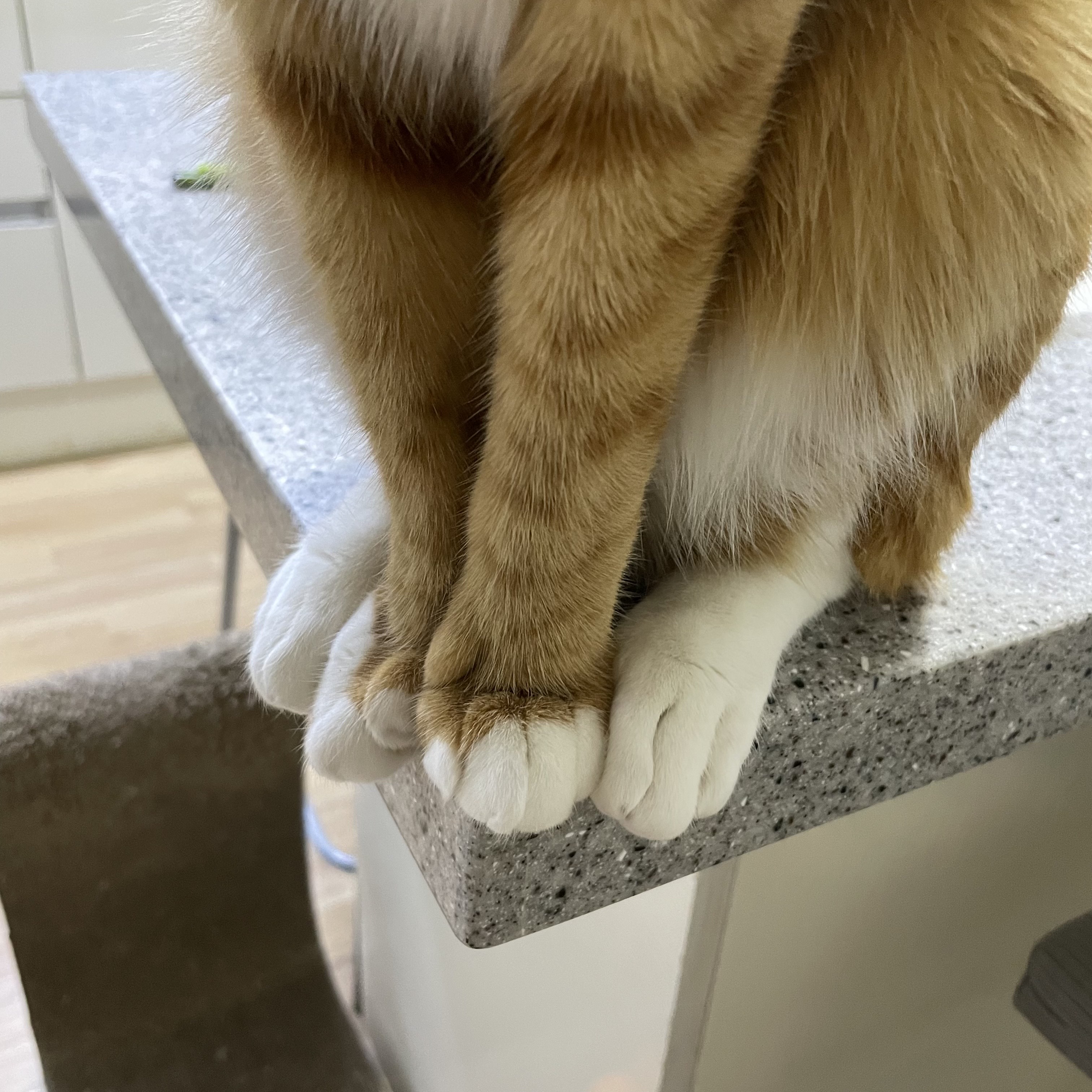 가... | 인스티즈