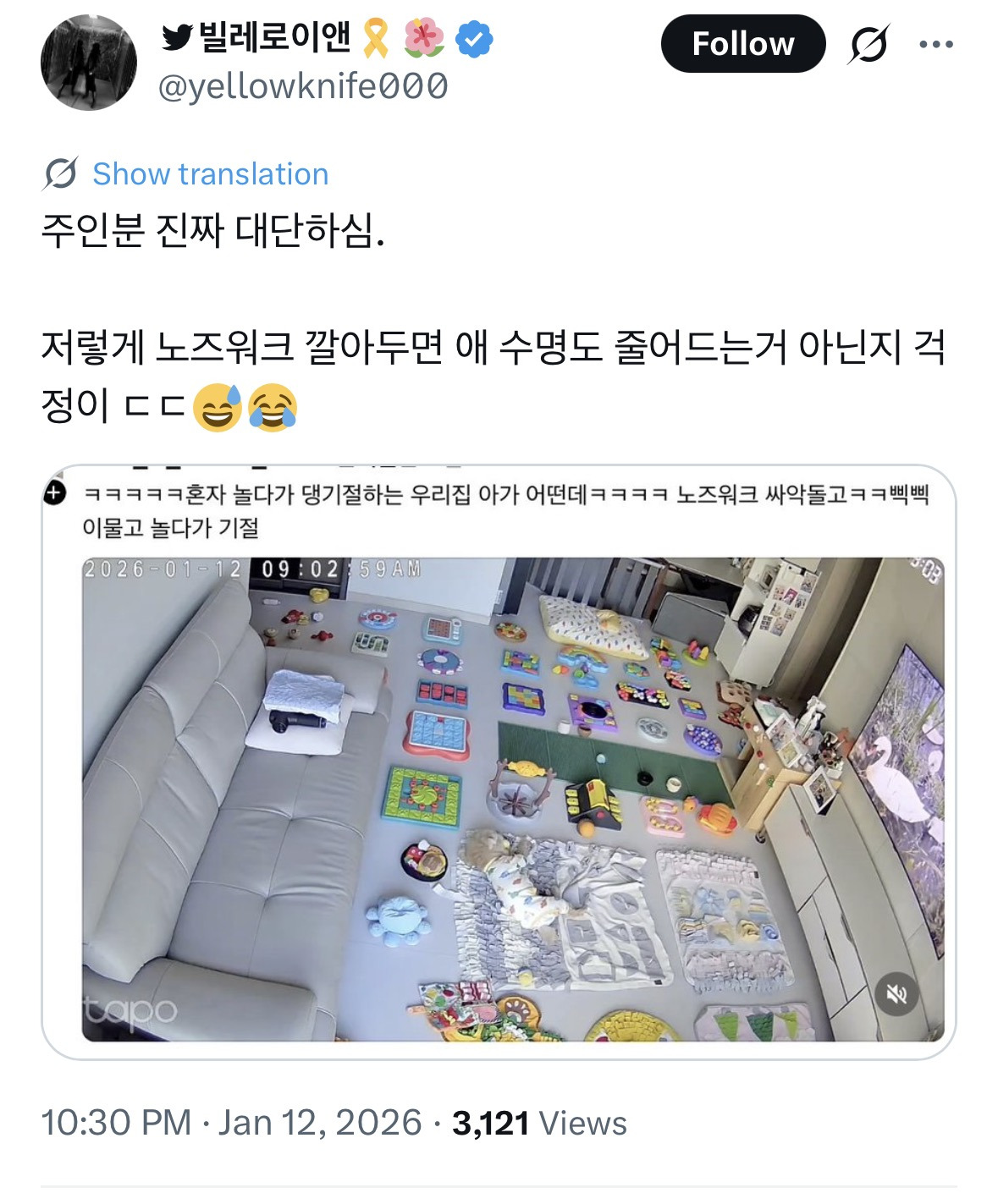 주인아 멈머 과로사 시킬생각인건지 ㅋㅋㅋㅋㅋ | 인스티즈