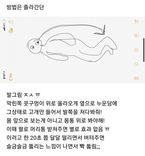 비염환자를 위한 초간단 누워서 막힌 코 뚫는법 | 인스티즈