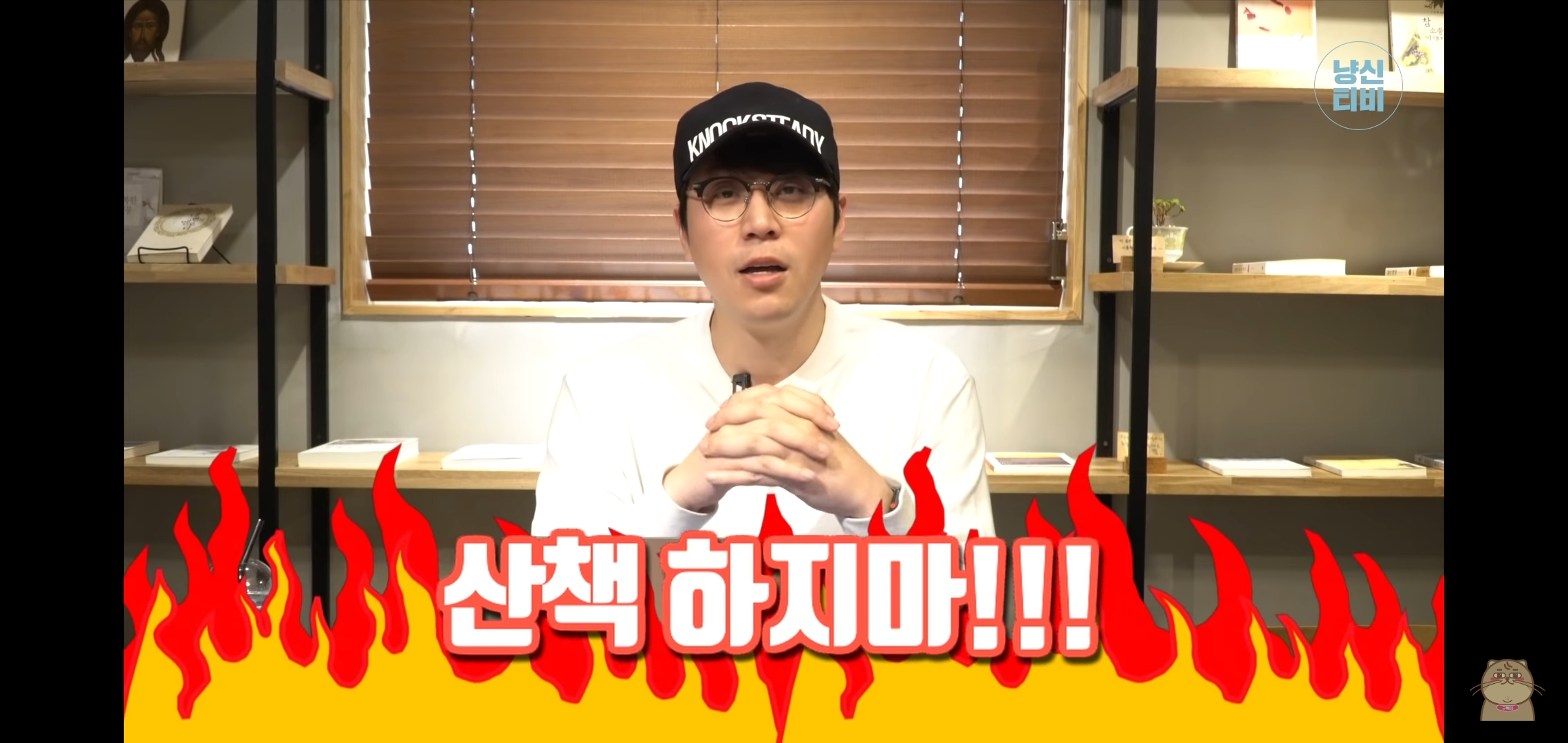 고양이 산책? 하지마!!!!! | 인스티즈