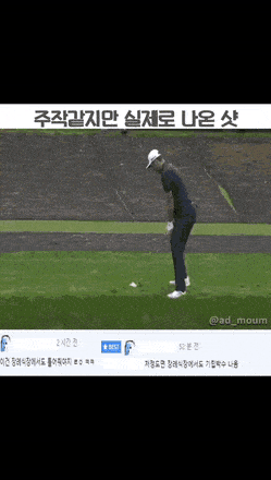 함부로 주작이라고 말하면 안되는이유 | 인스티즈