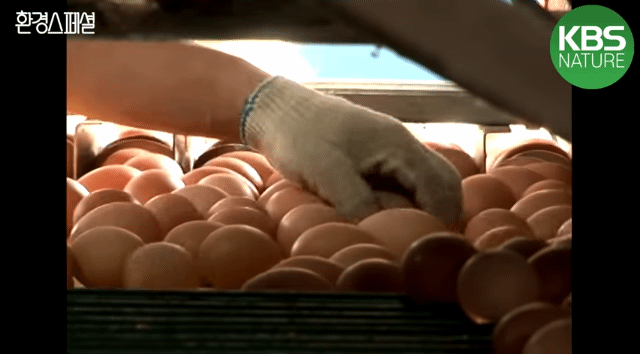 31efe8816043e6e39e41b9994f35e80e65353772