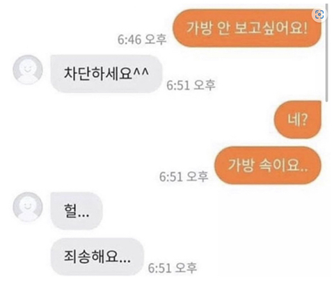 가방 산다더니 갑자기 가방 보기 싫다는 구매자 | 인스티즈