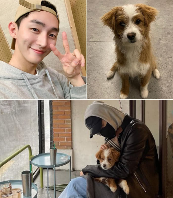 펫샵 NO! 유기견 입양한 연예인들 | 인스티즈