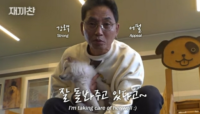 개농장에서 구출됐던 강아지 꽃님이의 버르장머리 없어진 최근 모습 | 인스티즈