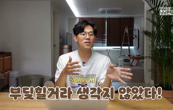 고양이 벽짚 챌린지는 진짜 지능과 관련 있을까? | 인스티즈